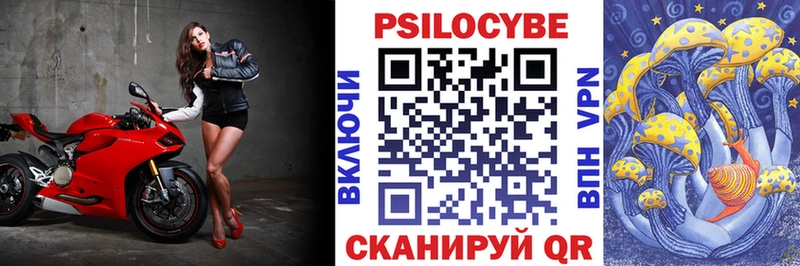 kraken ONION Гремячинск Галлюциногенные грибы MAGIC MUSHROOMS купить